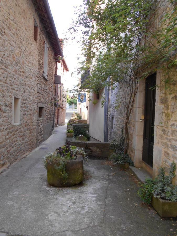 7 Rue Droite Villa Saint-Antonin Buitenkant foto