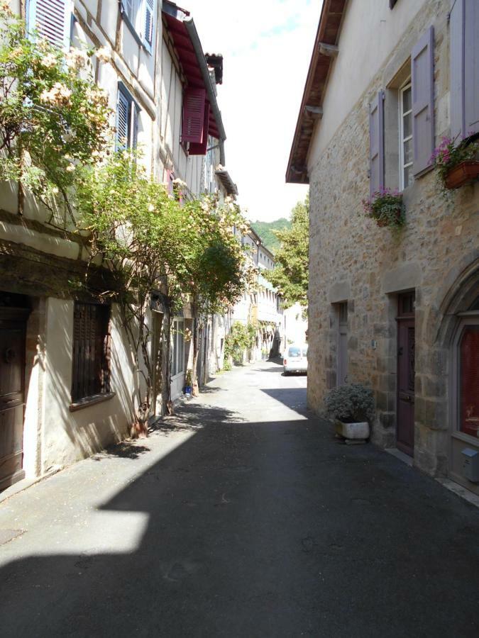 7 Rue Droite Villa Saint-Antonin Buitenkant foto